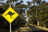 australasia;Australia;australian;black;forest;forests;kangaroo;Kangaroo-Warning-Sign;kangaroos;mount-arapiles;mt-arapiles;mt.-arapiles;natural;nature;Road;road-sign;road-signs;road_sign;road_signs;roads;roadsign;roadsigns;sign;signs;symbol;symbols;tranportation;transport;travel;Victoria;warn;yellow