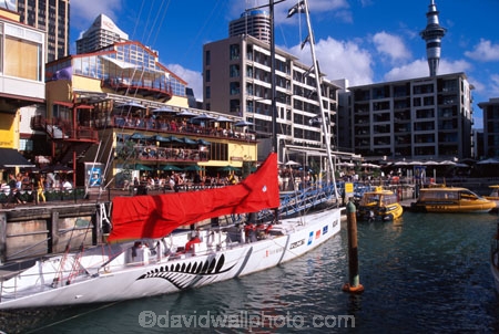 apartment;apartments;bar;bars;boat;boats;buildings;cafe;cafes;dock;ex-americas-cup-racing-yacht;harbor;harbors;harbour;harbours;mast;skytower;socialising;waitemata;water-front;yachts