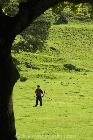 archer;archers;archery;auckland;bow-and-arrow;bow-and-arrows;cornwall-park;Maungakiekie;N.I.;n.z.;new-zealand;NI;north-island;nz;one-tree-hill;one-tree-hill-domain;shooter;shooting;sport-sports