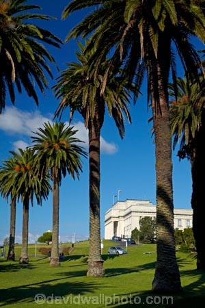 architecture;Auckland;Auckland-Domain;Auckland-Museum;Auckland-War-Memorial-Museum;building;buildings;columns;grass;heritage;historic;historic-building;historic-buildings;historical;historical-building;historical-buildings;history;museum;museums;N.I.;N.Z.;New-Zealand;NI;North-Is.;North-Island;Nth-Is;NZ;palm;palm-tree;palm-trees;palms;The-Domain;war-memorial-museum