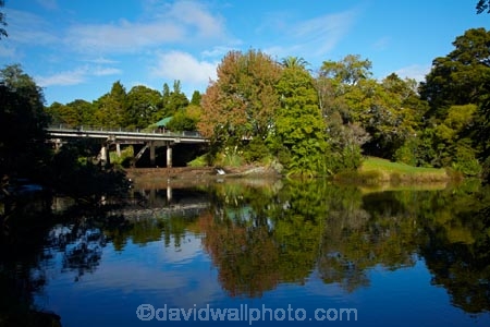 Auckland;Auckland-Region;autuminal;autumn;autumn-colour;autumn-colours;autumnal;calm;color;colors;colour;colours;deciduous;fall;leaf;leaves;Mahurangi-River;N.Z.;New-Zealand;North-Auckland;North-Is.;North-Island;Nth-Is;NZ;placid;quiet;reflected;reflection;reflections;river;rivers;season;seasonal;seasons;serene;smooth;still;tidal;tranquil;tree;trees;Warkworth;water