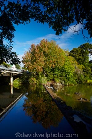 Auckland;Auckland-Region;autuminal;autumn;autumn-colour;autumn-colours;autumnal;calm;color;colors;colour;colours;deciduous;fall;leaf;leaves;Mahurangi-River;N.Z.;New-Zealand;North-Auckland;North-Is.;North-Island;Nth-Is;NZ;placid;quiet;reflected;reflection;reflections;river;rivers;season;seasonal;seasons;serene;smooth;still;tidal;tranquil;tree;trees;Warkworth;water
