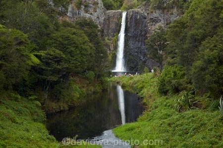 Auckland;cascade;cascades;fall;falls;Hunua-Falls;Hunua-Falls-Regional-Park;Hunua-Ranges;Hunua-Ranges-Regional-Park;N.Z.;natural;nature;New-Zealand;North-Is.;North-Island;Nth-Is;NZ;scene;scenic;water;water-fall;water-falls;waterfall;waterfalls;wet