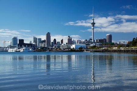 Auckland;Auckland-Region;Auckland-Waterfront;building;buildings;first-light;harbor;harbors;harbour;harbours;high;N.I.;N.Z.;New-Zealand;NI;North-Is;North-Island;Nth-Is;NZ;reflection;reflections;Saint-Marys-Bay;Saint-Marys-Bay;sky-scraper;Sky-Tower;sky_scraper;Sky_tower;Skycity;skyscraper;Skytower;St-Marys-Bay;St-Marys-Bay;St.-Marys-Bay;St.-Marys-Bay;still;tall;tower;towers;viewing-tower;viewing-towers;Waitemata-Harbor;Waitemata-Harbour;water;water-front;waterfront