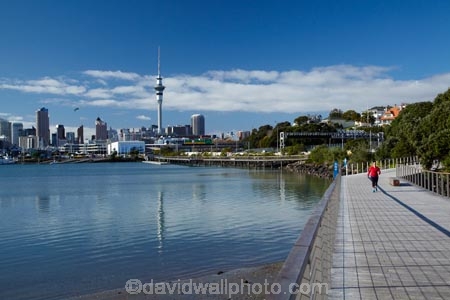 Auckland;Auckland-Region;Auckland-Waterfront;boardwalk;boardwalks;building;buildings;first-light;harbor;harbors;harbour;harbours;high;N.I.;N.Z.;New-Zealand;NI;North-Is;North-Island;Nth-Is;NZ;reflection;reflections;Saint-Marys-Bay;Saint-Marys-Bay;sky-scraper;Sky-Tower;sky_scraper;Sky_tower;Skycity;skyscraper;Skytower;St-Marys-Bay;St-Marys-Bay;St.-Marys-Bay;St.-Marys-Bay;still;tall;tower;towers;viewing-tower;viewing-towers;Waitemata-Harbor;Waitemata-Harbour;walker;walkers;walking;walkway;walkways;water;water-front;waterfront;Westhaven-Loop-Walk;Westhaven-Prominade