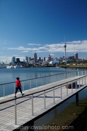 Auckland;Auckland-Region;Auckland-Waterfront;boardwalk;boardwalks;building;buildings;first-light;harbor;harbors;harbour;harbours;high;N.I.;N.Z.;New-Zealand;NI;North-Is;North-Island;Nth-Is;NZ;Saint-Marys-Bay;Saint-Marys-Bay;sky-scraper;Sky-Tower;sky_scraper;Sky_tower;Skycity;skyscraper;Skytower;St-Marys-Bay;St-Marys-Bay;St.-Marys-Bay;St.-Marys-Bay;still;tall;tower;towers;viewing-tower;viewing-towers;Waitemata-Harbor;Waitemata-Harbour;walker;walkers;walking;walkway;walkways;water;water-front;waterfront;Westhaven-Loop-Walk;Westhaven-Prominade