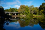 Auckland;Auckland-Region;autuminal;autumn;autumn-colour;autumn-colours;autumnal;calm;color;colors;colour;colours;deciduous;fall;leaf;leaves;Mahurangi-River;N.Z.;New-Zealand;North-Auckland;North-Is.;North-Island;Nth-Is;NZ;placid;quiet;reflected;reflection;reflections;river;rivers;season;seasonal;seasons;serene;smooth;still;tidal;tranquil;tree;trees;Warkworth;water