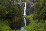 Auckland;cascade;cascades;fall;falls;Hunua-Falls;Hunua-Falls-Regional-Park;Hunua-Ranges;Hunua-Ranges-Regional-Park;N.Z.;natural;nature;New-Zealand;North-Is.;North-Island;Nth-Is;NZ;scene;scenic;water;water-fall;water-falls;waterfall;waterfalls;wet