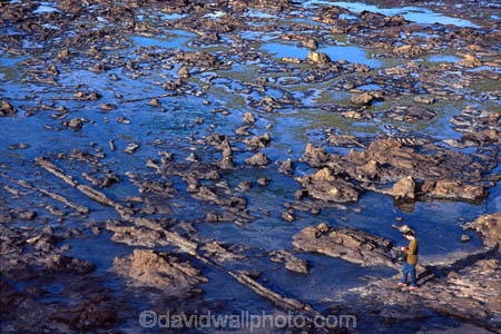 ancient;expose;exposed;fossil;fossilised;geological;geology;history;tidal;tourism;tourist