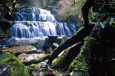 brook;brooks;cascade;cascades;Catlins;color;colors;colour;colours;creek;creeks;green;light;light-ray;moss;n.z.;natural;nature;New-Zealand;nz;Purakanui-Falls;Purakaunui-Falls;scene;scenic;South-Island;Southern-Scenic-Route;Southland;stream;streams;sunlight;water;water-fall;water-falls;waterfall;waterfalls;wet