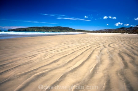 bays;beach;beaches;Cannibal-Bay;Catlins;coast;coastal;coastline;headland;n.z.;New-Zealand;nz;ocean;promontory;sand;sea;shore;shoreline;South-Island;Southern-Scenic-Route;wave;waves