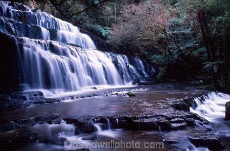 brook;brooks;cascade;cascades;Catlins;color;colors;colour;colours;creek;creeks;green;light;light-ray;moss;n.z.;natural;nature;New-Zealand;Nz;Purakanui-Falls;Purakaunui-Falls;scene;scenic;South-Island;South-Otago;Southern-Scenic-Route;Southland;stream;streams;sunlight;water;water-fall;water-falls;waterfall;waterfalls;wet