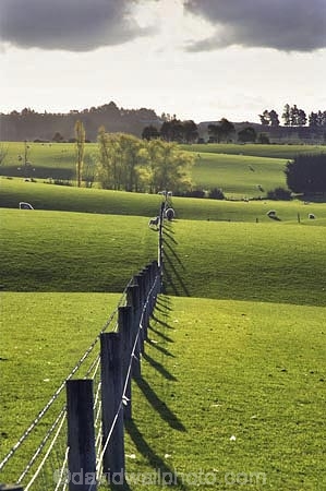 agricultural;agriculture;clinton;cloud;clouds;country;countryside;farm;farming;farmland;farms;fence;fence-line;fence-lines;fence_line;fence_lines;fenceline;fencelines;fences;fibre;field;fields;grass;grassy;green;horticulture;lamb;lush;meadow;meadows;new-zealand;paddock;paddocks;pasture;pastures;rural;sheep;south-island;south-otago;verdant;wool;woolly;wooly