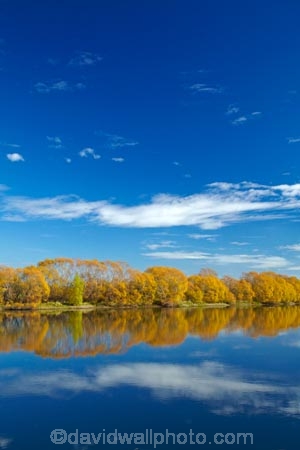 autuminal;autumn;Autumn-colour;autumn-colours;autumnal;Balclutha;blue;calm;Clutha-District;Clutha-River;Clutha-River-north-branch;color;colors;colour;colours;deciduous;fall;gold;golden;Inch-Clutha;Kaitangata;leaf;leaves;Mata_Au;Matau;N.Z.;New-Zealand;Northern-Branch-Clutha-River;NZ;Otago;placid;quiet;reflected;reflection;reflections;river;rivers;S.I.;season;seasonal;seasons;serene;SI;smooth;South-Is;South-Island;South-Otago;Sth-Is;still;tranquil;tree;trees;water;willow;willow-tree;willows;yellow