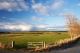 agricultural;agriculture;approaching-storm;approaching-storms;cloud;clouds;cloudy;Clutha-District;Clutha-Region;country;countryside;farm;farming;farmland;farms;field;fields;gate;gates;gateway;gateways;Kaihiku;meadow;meadows;N.Z.;New-Zealand;NZ;paddock;paddocks;pasture;pastures;rain-cloud;rain-clouds;rain-storm;rain-storms;rural;S.I.;SI;South-is;South-Island;South-Otago;storm;storm-cloud;storm-clouds;storms;weather