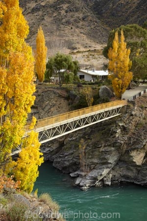 autuminal;autumn;autumn-colour;autumn-colours;autumnal;bridge;bridges;Central-Otago;color;colors;colour;colours;deciduous;fall;foot-bridge;foot-bridges;footbridge;footbridges;gold-mines;gold-mining;Goldfields;Goldfields-Mining-Centre;Goldfields-tourist-attraction;Kawarau-Gorge;Kawarau-River;leaf;leaves;N.Z.;New-Zealand;NZ;Otago;pedestrian-bridge;pedestrian-bridges;polars;poplar-tree;poplar-trees;S.I.;season;seasonal;seasons;SI;South-Is;South-Island;tree;trees