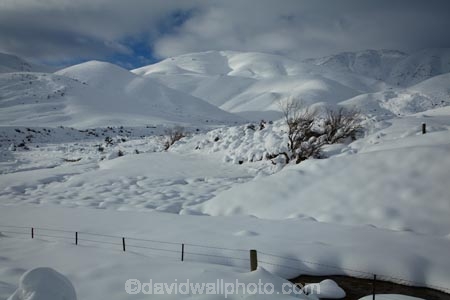 agricultural;agriculture;Central-Otago;cold;Coldness;country;countryside;Daytime;Exterior;extreme-weather;farm;farming;farmland;farms;fence;fence-line;fence-lines;fence_line;fence_lines;fenceline;fencelines;fences;field;fields;freeze;freezing;high-country;hill;hills;Landscape;Landscapes;Maniototo;meadow;meadows;mountain;mountains;N.Z.;natural;Nature;New-Zealand;NZ;Otago;Outdoor;Outdoors;Outside;paddock;paddocks;pasture;pastures;Pig-Root-Highway;Pig-Root-Road;Pig-Route-Highway;Pig-Route-Road;Pigroot-Highway;Pigroot-Road;Pigroute;Pigroute-Highway;Pigroute-Road;rural;S.I.;Scenic;Scenics;Season;Seasons;SH-85;SH85;SI;snow;snowfall;snowy;snowy-hills;snowy-mountains;South-Is;South-Is.;South-Island;State-Highway-85;State-Highway-Eighty-Five;Sth-Is;The-Pig-Route;The-Pigroot;weather;White;winter;Wintertime;wintery;wintry