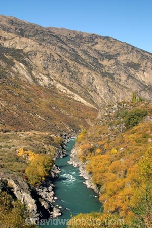Autumn;central-otago;Cromwell;fall;Kawarau-Gorge;Kawarau-River;New-Zealand;Queenstown-Road;river;riverscolour;season;seasonal;seasons;South-Island;tree;trees;valley;valleys;willow;willows;yellow