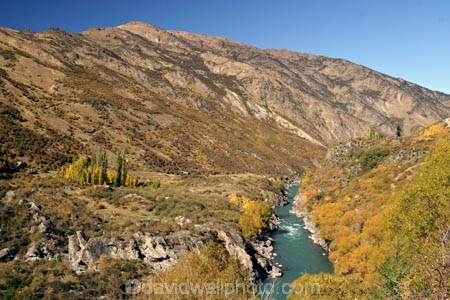 Autumn;central-otago;Cromwell;fall;Kawarau-Gorge;Kawarau-River;New-Zealand;Queenstown-Road;river;riverscolour;season;seasonal;seasons;South-Island;tree;trees;valley;valleys;willow;willows;yellow