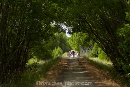 Alexandra;bicycle;bicycles;bike;bike-track;bike-tracks;bike-trail;bike-trails;bikes;biking;Central-Otago;Central-Otago-Bike-Trail;Central-Otago-Cycle-Trail;Central-Otago-Rail-Trail;cycle;cycle-track;cycle-tracks;cycle-trail;cycle-trails;cycler;cyclers;cycles;cycling;cyclist;cyclists;mountain-bike;mountain-biker;mountain-bikers;mountain-bikes;mtn-bike;mtn-biker;mtn-bikers;mtn-bikes;N.Z.;New-Zealand;NZ;Otago;Otago-Central-Bike-Trail;Otago-Central-Cycle-Trail;Otago-Central-Rail-Trail;Otago-Rail-Trail;people;person;push-bike;push-bikes;push_bike;push_bikes;pushbike;pushbikes;S.I.;SI;South-Is;South-Island;Sth-Is;tourism;tourist;tourists;tree;trees;willow-tree;willow-trees