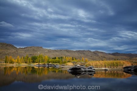 Alexandra;autuminal;autumn;autumn-colour;autumn-colours;autumnal;Butchers-Dam;Butchers-Dam;calm;Central-Otago;color;colors;colour;colours;dam;dams;deciduous;fall;gold;golden;lake;lakes;leaf;leaves;N.Z.;New-Zealand;NZ;Otago;placid;quiet;reflected;reflection;reflections;S.I.;season;seasonal;seasons;serene;SI;smooth;South-Is;South-Island;Sth-Is;still;tranquil;tree;trees;water;yellow