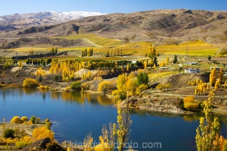 agricultural;agriculture;autuminal;autumn;Autumn-Colours;autumnal;Bannockburn-Inlet;boat;boats;cairnmuir-campground;campground;campgrounds;camping-ground;camping-grounds;Central-Otago;central-otago-vineyard;central-otago-vineyards;central-otago-wineries;central-otago-winery;color;colors;colour;colours;country;countryside;cromwell;crop;crops;cultivation;deciduous;fall;farm;farming;farmland;farms;field;fields;gold;golden;grape;grapes;grapevine;horticulture;kawarau-arm;lake;lake-dunstan;lakes;leaf;leaves;New-Zealand;poplar;poplar-tree;poplar-trees;poplars;row;rows;rural;south-island;speed-boat;speed-boats;tree;trees;vine;vines;vineyard;vineyards;vintage;water;wine;wineries;winery;wines;yellow