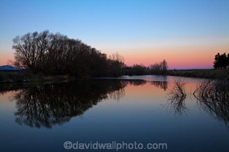 calm;Central-Otago;deciduous-tree;dusk;evening;Hills-Creek;Ida-Valley;Idaburn;irrigation-pond;Maniototo;N.Z.;New-Zealand;night;night_time;nightfall;NZ;Otago;Oturehua;placid;pond;ponds;quiet;reflected;reflection;reflections;S.I.;serene;SI;smooth;South-Is;South-Island;Sth-Is;still;sunset;sunsets;tranquil;tree;trees;twilight;water;willow;willow-tree;willow-trees;willows