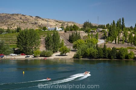 agricultural;agriculture;Bannockburn;Bannockburn-Inlet;biscuit;biscuiting;boat;boats;Central-Otago;Central-Otago-Vineyard;Central-Otago-Vineyards;country;countryside;crop;crops;cultivation;farm;farming;farmland;farms;field;fields;grape;grapes;grapevine;horticulture;Kawarau-Arm;lake;Lake-Dunstan;lakes;N.Z.;New-Zealand;NZ;Otago;pleasure-boat;pleasure-boats;pleasure-craft;power-boat;power-boats;recreation;row;rows;rural;S.I.;SI;South-Is;South-Island;speed-boat;speed-boats;Sth-Is;summer;vine;vines;vineyard;vineyards;vintage;water-craft;wine;wineries;winery;wines