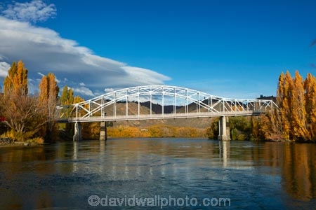 Alexandra;Alexandra-Bridge;autuminal;autumn;autumn-colour;autumn-colours;autumnal;bridge;bridges;Central-Otago;Clutha-River;color;colors;colour;colours;deciduous;fall;gold;golden;infrastructure;leaf;leaves;N.Z.;New-Zealand;NZ;Otago;river;rivers;road-bridge;road-bridges;S.I.;season;seasonal;seasons;SI;South-Island;steel-truss-arch-bridge;steel-truss-arch-bridges;Sth-Is;Sth-Is.;traffic-bridge;traffic-bridges;transport;tree;trees;yellow