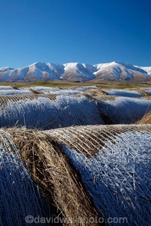agricultural;agriculture;alp;alpine;alps;altitude;Aotearoa;Central-Otago;circular;cold;Coldness;country;countryside;extreme-weather;farm;farming;farmland;farms;field;fields;freeze;freezing;hay;hay-bale;hay-bales;high-altitude;Kakanui-Mountains;Kakanui-Mtns;Kyeburn;Maniototo;meadow;meadows;mount;mountain;mountain-peak;mountainous;mountains;mountainside;mt;N.Z.;New-Zealand;NZ;Otago;outdoor;outdoors;outside;paddock;paddocks;pasture;pastures;peak;peaks;Ranfurly;range;ranges;round;round-hay-bale;rural;S.I.;Scenic;Scenics;Season;Seasons;SI;snow;snow-capped;snow_capped;snowcapped;snowy;South-Is;South-Is.;South-Island;Sth-Is;straw;weather;White;winter;winter-feed;Wintertime;wintery;wintry