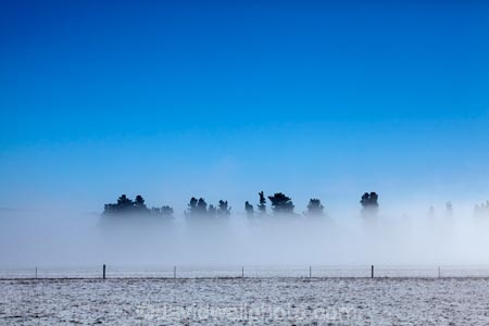 agricultural;agriculture;Aotearoa;big-sky;blue;blue-and-white;blue-skies;blue-sky;Central-Otago;cloudless;cold;cold-freezing;Coldness;country;countryside;extreme-weather;farm;farming;farmland;farms;fence;fence-line;fence-lines;fence_line;fence_lines;fenceline;fencelines;fences;field;fields;fog;foggy;fogs;freeze;freezing;freezing-fog;frost;icy;inversion-layer;inversion-layers;Maniototo;meadow;meadows;mist;mists;misty;N.Z.;New-Zealand;NZ;Otago;paddock;paddocks;pasture;pastures;rural;S.I.;Scenic;Scenics;Season;Seasons;SI;skies;sky;snow;snowy;South-Is;South-Island;Sth-Is;tree;trees;weather;white;winter;Wintertime;wintery;wintry