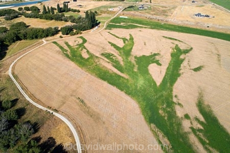 aerial;Aerial-drone;Aerial-drones;aerial-image;aerial-images;aerial-photo;aerial-photograph;aerial-photographs;aerial-photography;aerial-photos;aerial-view;aerial-views;aerials;agricultural;agriculture;Bendigo;Central-Otago;country;countryside;cultivation;Drone;drone-aerial;Drones;drought;dry;dry-farmland;farm;farming;farmland;farms;field;fields;green;grow;growing;hot;irrigate;irrigated;irrigated-land;irrigation;irrigation-scheme;irrigator;meadow;meadows;N.Z.;New-Zealand;NZ;Otago;paddock;paddocks;pasture;pastures;Quadcopter-aerial;Quadcopters-aerials;rural;S.I.;SI;South-Is;South-Island;Sth-Is;Sth-Island;summer;Tarras;U.A.V.-aerial;UAV-aerials;water;wet