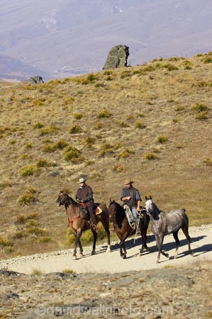 back-country;backcountry;Carrick-Range;cavalcade;Central-Otago;Central-Otago-Cavalcade;cow-boy;cow-boys;cowboy;cowboys;Duffers-Saddle;equestrian;high-country;Highcountry;highland;highlands;horse;horse-rider;horse-riders;horseback;horseman;horsemen;horses;N.Z.;Nevis-Road;Nevis-Valley;New-Zealand;NZ;rider;riders;S.I.;SI;South-Island;stockman;stockmen