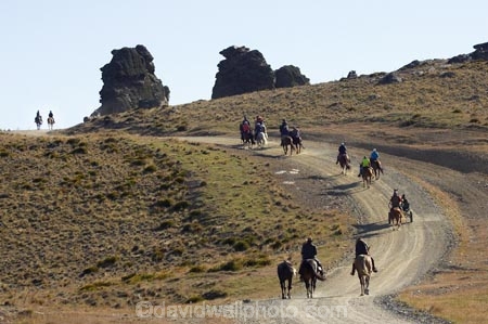 back-country;backcountry;Carrick-Range;cavalcade;Central-Otago;Central-Otago-Cavalcade;cow-boy;cow-boys;cowboy;cowboys;Duffers-Saddle;equestrian;high-country;Highcountry;highland;highlands;horse;horse-rider;horse-riders;horseback;horseman;horsemen;horses;N.Z.;Nevis-Road;Nevis-Valley;New-Zealand;NZ;rider;riders;S.I.;SI;South-Island;stockman;stockmen