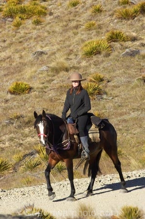 back-country;backcountry;Carrick-Range;cavalcade;Central-Otago;Central-Otago-Cavalcade;cow-boy;cow-boys;cowboy;cowboys;Duffers-Saddle;equestrian;high-country;Highcountry;highland;highlands;horse;horse-rider;horse-riders;horseback;horseman;horsemen;horses;N.Z.;Nevis-Road;Nevis-Valley;New-Zealand;NZ;rider;riders;S.I.;SI;South-Island;stockman;stockmen