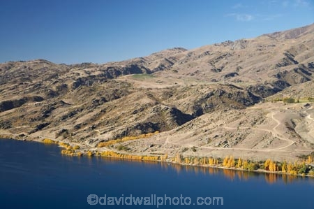 45-degrees-south;aerial;aerial-photo;aerial-photograph;aerial-photographs;aerial-photography;aerial-photos;aerial-view;aerial-views;aerials;autuminal;autumn;autumn-colour;autumn-colours;autumnal;Central-Otago;Clutha-Arm;color;colors;colour;colours;Cromwell;deciduous;Dunstan-Mountains;fall;hydro-lake;hydro-lakes;lake;Lake-Dunstan;lakes;N.Z.;New-Zealand;NZ;Otago;S.I.;season;seasonal;seasons;SI;South-Is.;South-Island;State-Highway-8;State-Highway-Eight;tree;trees;water