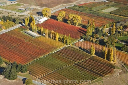 aerial;aerial-photo;aerial-photograph;aerial-photographs;aerial-photography;aerial-photos;aerial-view;aerial-views;aerials;Central-Otago;color;colors;colour;country;countryside;Cromwell;crop;crops;farm;farming;farmland;farms;field;fruit;fruit-tree;fruit-trees;horticulture;Jackson-Orchard;Jacksons-Orchard;Jacksons-Orchard;N.Z.;New-Zealand;NZ;orange;orchard;orchards;Otago;poplar;poplar-tree;poplar-trees;poplars;row;rows;rural;S.I.;SI;South-Is.;South-Island;tree;trees
