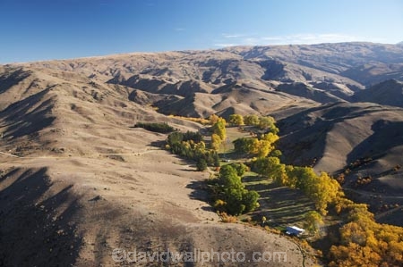 aerial;aerial-photo;aerial-photograph;aerial-photographs;aerial-photography;aerial-photos;aerial-view;aerial-views;aerials;agricultural;agriculture;arid;autuminal;autumn;autumn-colour;autumn-colours;autumnal;back-country;backcountry;Bannockburn;barren;Central-Otago;color;colors;colour;colours;contrast;contrasts;country;countryside;crop;crops;deciduous;drought;dry;fall;farm;farming;farmland;farms;field;fields;Hawksburn;high-altitude;high-country;highcountry;highlands;horticulture;irrigation;meadow;meadows;N.Z.;New-Zealand;NZ;oasis;Otago;paddock;paddocks;pasture;pastures;remote;remoteness;rural;S.I.;season;seasonal;seasons;semi_arid;SI;South-Is.;South-Island;tree;trees;uplands;valley;valleys;willow;willow-tree;willow-trees;willows
