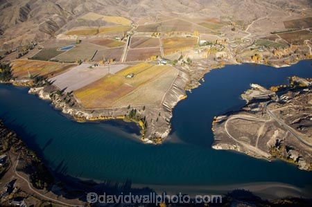 aerial;aerial-photo;aerial-photograph;aerial-photographs;aerial-photography;aerial-photos;aerial-view;aerial-views;aerials;agricultural;agriculture;autuminal;autumn;autumn-colour;autumn-colours;autumnal;Bannockburn;Bannockburn-Inlet;Cairnmuir-Terraces;Cairnmuir-Vineyard;Cairnmuir-Vineyards;Carrick-Vineyard;Carrick-Vineyards;Carrick-Winery;Carrick-Wines;Central-Otago;central-otago-vineyard;central-otago-vineyards;central-otago-wineries;central-otago-winery;color;colors;colour;colours;country;countryside;crop;crops;cultivation;deciduous;fall;farm;farming;farmland;farms;field;fields;grape;grapes;grapevine;horticulture;hydro-lake;hydro-lakes;Kawarau-Arm;lake;Lake-Dunstan;lakes;N.Z.;New-Zealand;NZ;Otago;ripple;rippled;ripples;row;rows;rural;S.I.;season;seasonal;seasons;SI;silt-up;siltation;silting;South-Is.;south-island;tree;trees;vine;vines;vineyard;vineyards;vintage;water;wineage;wineries;winery;wines