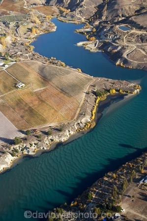 aerial;aerial-photo;aerial-photograph;aerial-photographs;aerial-photography;aerial-photos;aerial-view;aerial-views;aerials;agricultural;agriculture;autuminal;autumn;autumn-colour;autumn-colours;autumnal;Bannockburn;Bannockburn-Inlet;Cairnmuir-Terraces;Cairnmuir-Vineyard;Cairnmuir-Vineyards;Carrick-Vineyard;Carrick-Vineyards;Carrick-Winery;Carrick-Wines;Central-Otago;central-otago-vineyard;central-otago-vineyards;central-otago-wineries;central-otago-winery;color;colors;colour;colours;country;countryside;crop;crops;cultivation;deciduous;fall;farm;farming;farmland;farms;field;fields;grape;grapes;grapevine;horticulture;hydro-lake;hydro-lakes;Kawarau-Arm;lake;Lake-Dunstan;lakes;N.Z.;New-Zealand;NZ;Otago;ripple;rippled;ripples;row;rows;rural;S.I.;season;seasonal;seasons;SI;silt-up;siltation;silted;South-Is.;south-island;tree;trees;vine;vines;vineyard;vineyards;vintage;water;wineage;wineries;winery;wines