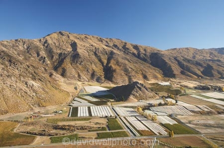 aerial;aerial-photo;aerial-photograph;aerial-photographs;aerial-photography;aerial-photos;aerial-view;aerial-views;aerials;agricultural;agriculture;Central-Otago;central-otago-vineyard;central-otago-vineyards;central-otago-wineries;central-otago-winery;country;countryside;crop;crops;cultivation;farm;farming;farmland;farms;field;fields;Gibbston-Valley;Gibbston-Valley-Vineyard;Gibbston-Valley-Vineyards;Gibston-Valley;grape;grapes;grapevine;horticulture;Kawarau-Gorge;Mount-Edward;Mt-Edward;Mt.-Edward;N.Z.;new-zealand;NZ;Otago;Queenstown-Region;row;rows;rural;S.I.;SI;South-Is.;South-Island;Southern-Lakes;Southern-Lakes-District;Southern-Lakes-Region;vine;vines;vineyard;vineyards;vintage;wineage;wineries;winery;wines