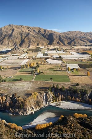 aerial;aerial-photo;aerial-photograph;aerial-photographs;aerial-photography;aerial-photos;aerial-view;aerial-views;aerials;agricultural;agriculture;autuminal;autumn;autumn-colour;autumn-colours;autumnal;Central-Otago;central-otago-vineyard;central-otago-vineyards;central-otago-wineries;central-otago-winery;color;colors;colour;colours;country;countryside;crop;crops;cultivation;deciduous;fall;farm;farming;farmland;farms;field;fields;Gibbston-Valley;Gibbston-Valley-Vineyard;Gibbston-Valley-Vineyards;Gibston-Valley;grape;grapes;grapevine;horticulture;Kawarau-Gorge;Kawarau-River;meadow;meadows;Mount-Edward;Mt-Edward;Mt.-Edward;N.Z.;new-zealand;NZ;Otago;paddock;paddocks;pasture;pastures;Queenstown-Region;river;rivers;row;rows;rural;S.I.;season;seasonal;seasons;SI;South-Is.;South-Island;Southern-Lakes;Southern-Lakes-District;Southern-Lakes-Region;tree;trees;vine;vines;vineyard;vineyards;vintage;Waitiri-Creek-Wines;wineage;wineries;winery;wines