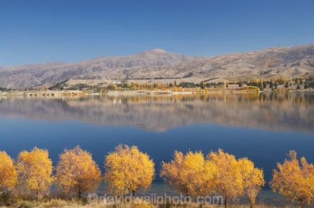 autuminal;autumn;autumn-colour;autumn-colours;autumnal;calm;Carrick-Range;Central-Otago;Clutha-Arm;color;colors;colour;colours;Cromwell;deciduous;fall;golden;lake;Lake-Dunstan;lakes;N.Z.;New-Zealand;NZ;Otago;placid;quiet;reflection;reflections;S.I.;season;seasonal;seasons;serene;SI;smooth;South-Is.;South-Island;still;tranquil;tree;trees;water;willow;willow-tree;willow-trees;willows;yellow
