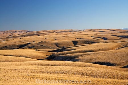 back-country;backcountry;Central-Otago;Central-Otago-peneplain;country;countryside;farm;farming;farmland;farms;high-altitude;high-country;highcountry;highland;highlands;Lammermoor-Range;Lammermoor-Ranges;Maniototo;N.Z.;New-Zealand;NZ;Old-Dunstan-Road;Old-Dunstan-Track;Old-Dunstan-Trail;Otago;Otago-peneplain;remote;remoteness;rural;S.I.;SI;South-Is.;South-Island;tussock;tussocklands;tussocks;uiplands;upland;uplands