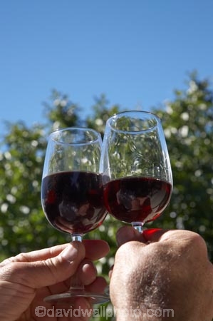 alcohol;Central-Otago;event;events;Food-and-Wine-Festival;Food-and-Wine-Festivals;glass;glasses;N.Z.;New-Zealand;NZ;Otago;people;pinot-noir;red-wine;red-wines;S.I.;SI;South-Island;summer;tasting;tent-city;test-colour;Vino-and-Victuals;Vino-and-Victual�s-Food-and-Wine-Festival;wine;wines