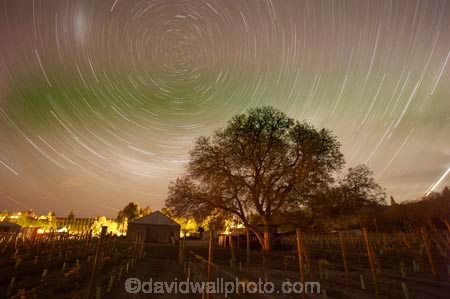 Central-Otago;central-otago-vineyard;central-otago-vineyards;central-otago-wineries;central-otago-winery;country;countryside;crop;crops;cultivation;dark;Domain-Rd-Vineyard;Domain-Road-Vineyard;evening;field;fields;grape;grapes;grapevine;horticulture;N.Z.;new-zealand;night;night-sky;night-time;night_sky;night_time;nightsky;NZ;Otago;row;rows;rural;S.I.;SI;sky;South-Island;star;Star-Trails;stars;vine;vines;vineyard;vineyards;vintage;Walnut-Tree;walnut-trees;wineage;wineries;winery;wines