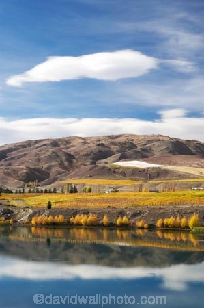 agricultural;agriculture;autuminal;autumn;autumn-colour;autumn-colours;autumnal;Bannockburn;cairnmuir-mountains;cairnmuir-range;Cairnmuir-Vineyard;calm;carrick-winery;Central-Otago;central-otago-vineyard;central-otago-vineyards;central-otago-wineries;central-otago-winery;color;colors;colour;colours;country;countryside;crop;crops;cultivation;deciduous;fall;farm;farming;farmland;farms;field;fields;golden;grape;grapes;grapevine;horticulture;kawarau-arm;lake;Lake-Dunstan;lakes;leaf;leaves;N.Z.;New-Zealand;NZ;Otago;placid;quiet;reflection;reflections;row;rows;rural;S.I.;season;seasonal;seasons;serene;SI;smooth;south-island;still;tranquil;tree;trees;vine;vines;vineyard;vineyards;vintage;water;wine;wineage;wineries;winery;wines;yellow