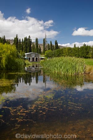 calm;Central-Otago;central-otago-vineyard;central-otago-vineyards;central-otago-wineries;central-otago-winery;duck-pond;duck-ponds;N.Z.;New-Zealand;Northburn-Shed;Northburn-Station;Northburn-Vineyard;Northburn-Winery;NZ;Otago;placid;pond;ponds;quiet;reflection;reflections;rural;S.I.;serene;SI;smooth;South-Is;South-Island;Sth-Is;still;The-Shed;The-Shed-Cellar-Door-and-Restaurant;tranquil;vineyard;vineyards;water;wineage;wineries;winery;wines;Woolshed