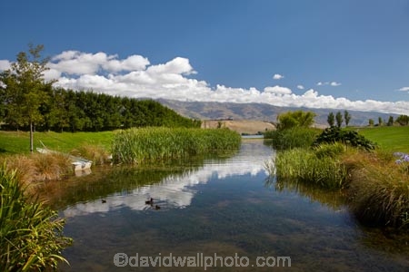 calm;Central-Otago;central-otago-vineyard;central-otago-vineyards;central-otago-wineries;central-otago-winery;duck-pond;duck-ponds;N.Z.;New-Zealand;Northburn-Station;Northburn-Vineyard;Northburn-Winery;NZ;Otago;placid;quiet;reflection;reflections;rural;S.I.;serene;SI;smooth;South-Is;South-Island;Sth-Is;still;tranquil;vineyard;vineyards;water;wineage;wineries;winery;wines