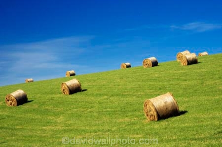 agricultural;agriculture;blue;country;countryside;crop;crops;farm;farming;farmland;farms;field;fields;green;hay;hay-bale;hay-bales;horticulture;Lawrence;meadow;meadows;New-Zealand;Otago;paddock;paddocks;pasture;pastures;rural;South-Island